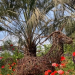 Mediterranean flora with goat!