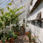 Restored glasshouses