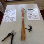 STARS_uniform Willow sticks to start