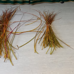 Willow sticks to start the Wreath