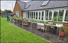 2026_members' plants for sale