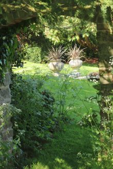 A view from the woodland garden