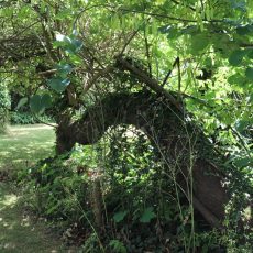 Binsted Place_IMG_5129