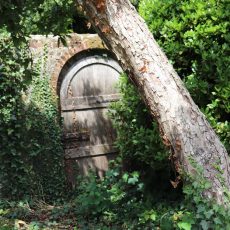 Binsted Place_IMG_5140