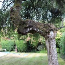 Binsted Place_IMG_5154