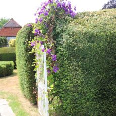 Binsted Place_IMG_5158