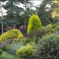 Champs Hill Garden_2