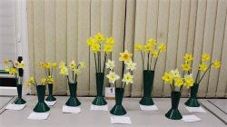 Class 15 Daffodils