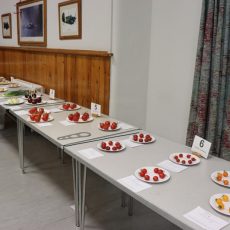 Class 1-6_IMG_5435