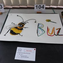 Age 5 - 7