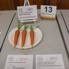 Class 13 & Best Vegetable Aug 2025