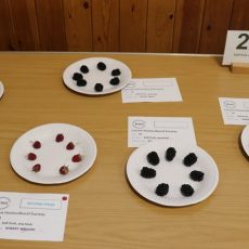 Class 22_IMG_5545