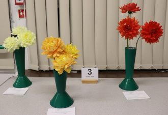Class 3_Any Other Dahlias
