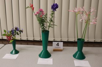 Class 4_3 Flowering Stems