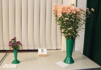 Class 5_Chrysanthemums