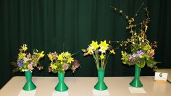 Class 6 (1)Vase of Mixed Garden Flowers