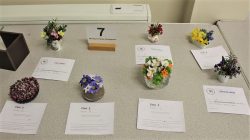 Class 7Miniature Flower Arrangement