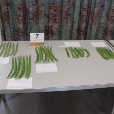 Class 7_IMG_5442