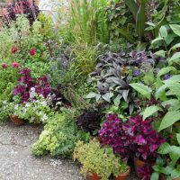 DAY ONE_Ulting Wick Garden