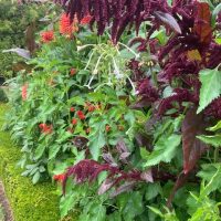 DAY ONE_Ulting Wick Garden