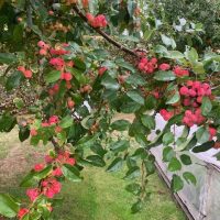 DAY ONE_Ulting Wick Garden