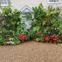 DAY ONE_Ulting Wick Garden