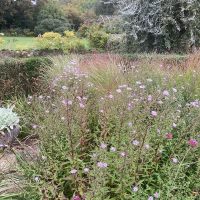 DAY ONE_Long Barn Garden