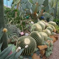 DAY ONE_Lullingstone World Garden