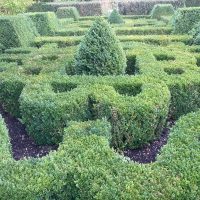 DAY ONE_Long Barn Garden