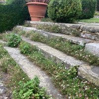 DAY ONE_Long Barn Garden