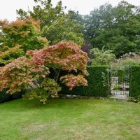 DAY ONE_Long Barn Garden