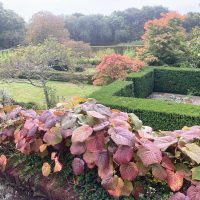 DAY ONE_Long Barn Garden