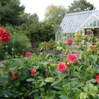 DAY THREE_Polestead Mill