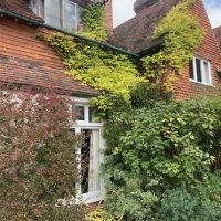 DAY Two_The Place for Plants