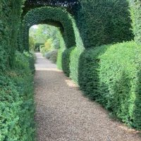 DAY Two_The Place for Plants