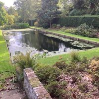 DAY Two_The Place for Plants