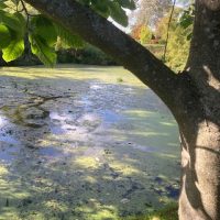 DAY TWO_Feeringbury Manor