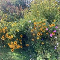 DAY TWO_Feeringbury Manor
