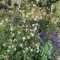 DAY TWO_Feeringbury Manor