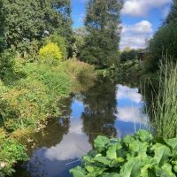 DAY THREE_Beth Chatto's Plants & Gardens