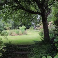 IMG_5786_800