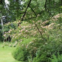 IMG_5787_800