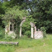 IMG_5799_800