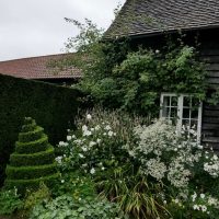 DAY THREE_Beth Chatto's Plants & Gardens