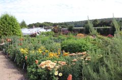 The Walled Garden