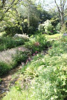 The gently flowing stream