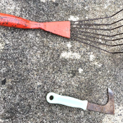 Barbara's indispensables