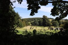 View from the Pergola
